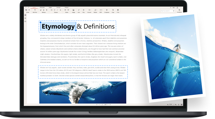 PDFio Edit PDF